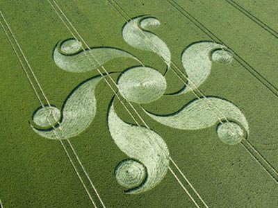 crop-circle-12.jpg