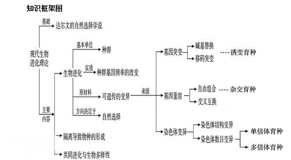 高考生物系列 生物总结九 生物的变异、育种与进化-1.jpg