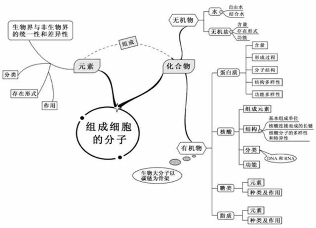 看透高中生物这20张思维导图，生物轻松拿高分！-1.jpg