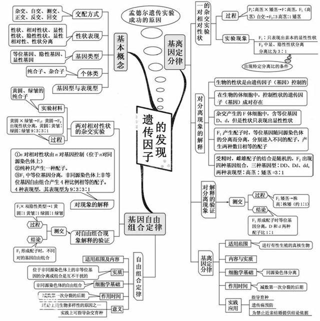 看透高中生物这20张思维导图，生物轻松拿高分！-6.jpg