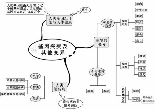 看透高中生物这20张思维导图，生物轻松拿高分！-10.jpg