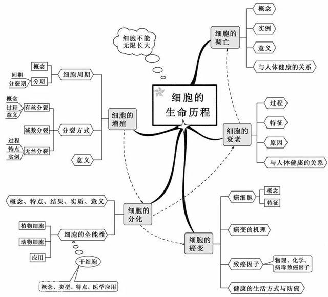 看透高中生物这20张思维导图，生物轻松拿高分！-5.jpg