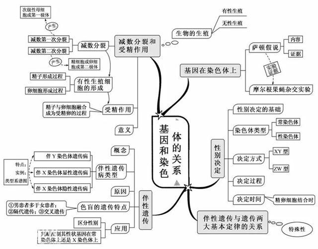 看透高中生物这20张思维导图，生物轻松拿高分！-7.jpg