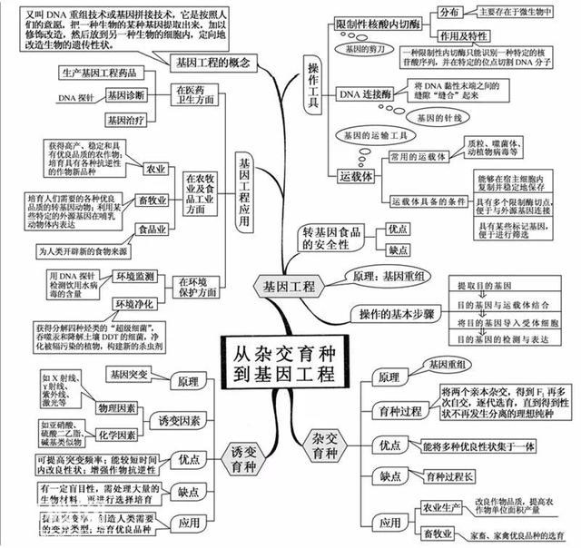 看透高中生物这20张思维导图，生物轻松拿高分！-11.jpg