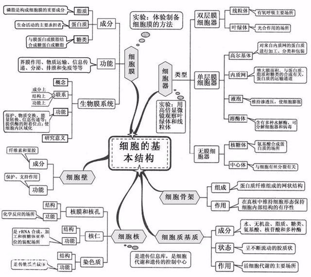 看透高中生物这20张思维导图，生物轻松拿高分！-2.jpg