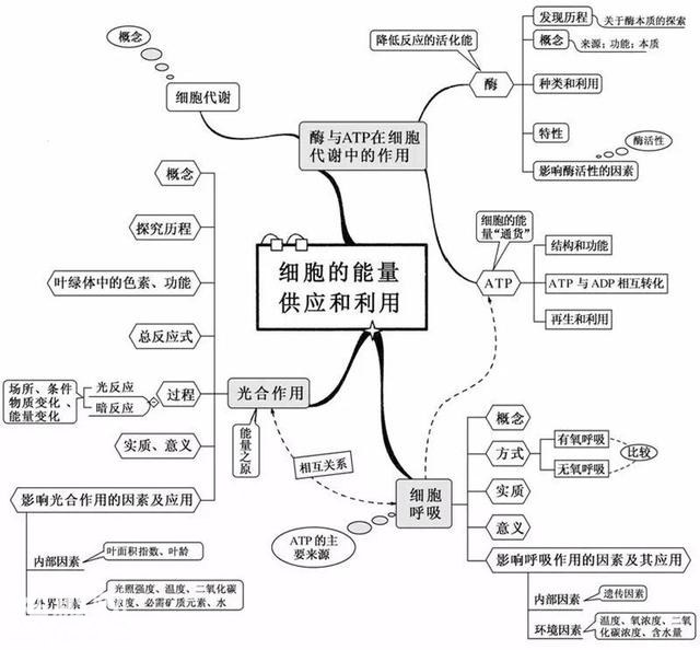 看透高中生物这20张思维导图，生物轻松拿高分！-4.jpg