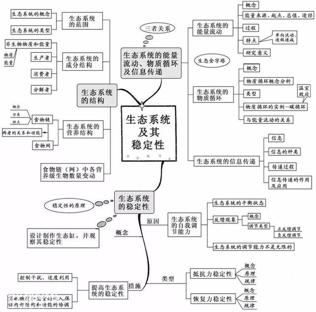 看透高中生物这20张思维导图，生物轻松拿高分！-17.jpg