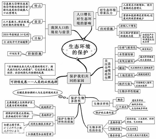 看透高中生物这20张思维导图，生物轻松拿高分！-18.jpg