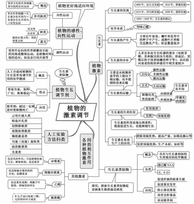 看透高中生物这20张思维导图，生物轻松拿高分！-15.jpg