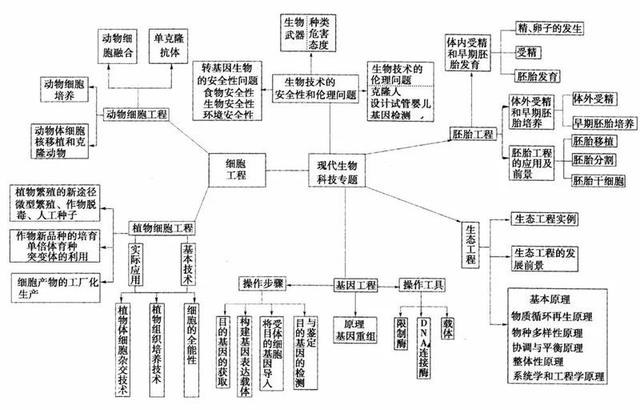 看透高中生物这20张思维导图，生物轻松拿高分！-20.jpg