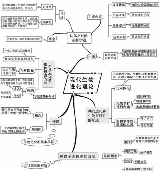 看透高中生物这20张思维导图，生物轻松拿高分！-12.jpg