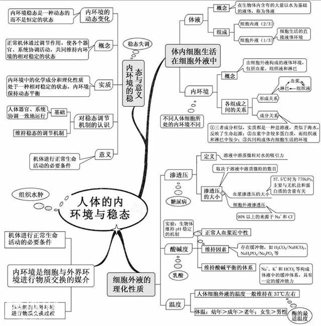 看透高中生物这20张思维导图，生物轻松拿高分！-13.jpg