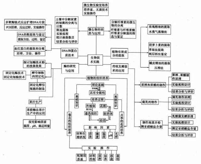 看透高中生物这20张思维导图，生物轻松拿高分！-19.jpg