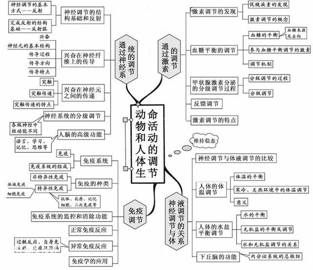 看透高中生物这20张思维导图，生物轻松拿高分！-14.jpg