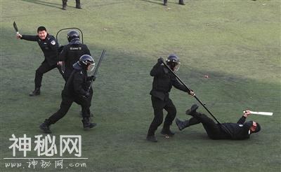 特警亮绝技-3.jpg