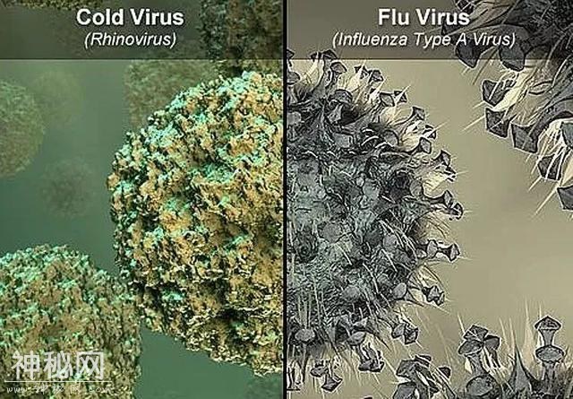 「健康提示」警惕！新一波流感病毒已经发生变化，疾控部门提示…………-5.jpg