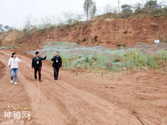 兴隆街道刘家坝村开展地质灾害隐患排查工作-5.jpg