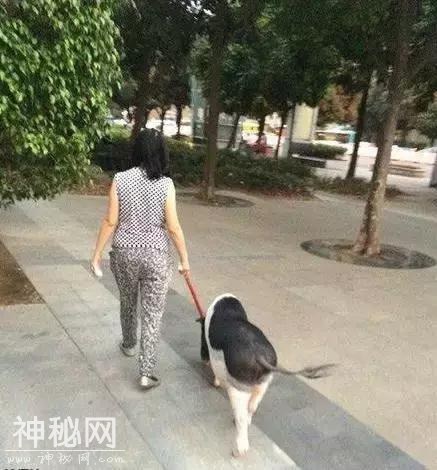 搞笑段子：我再也不相信女人了-5.jpg