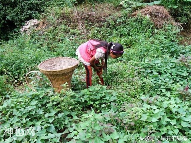 10岁女孩下面痒用手抓破，赶紧送医院，检查却是被亲生母亲害的-4.jpg