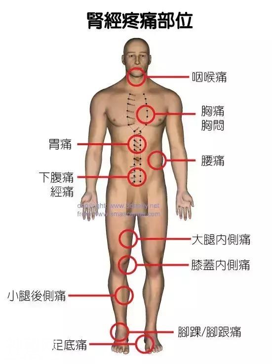 自愈力才是最好的医生！史上最全穴位合集，教你1分钟学会自治-2.jpg