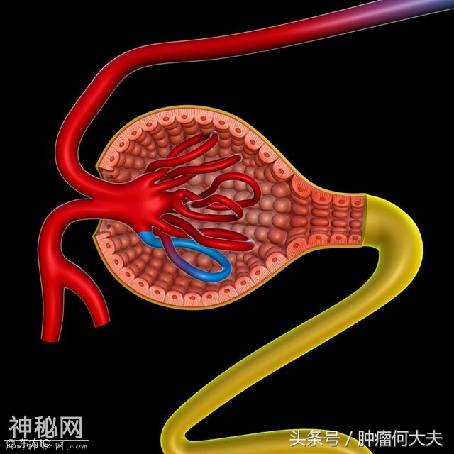 乙肝病毒携带者，免疫受损人群，要警惕淋巴瘤来袭-2.jpg