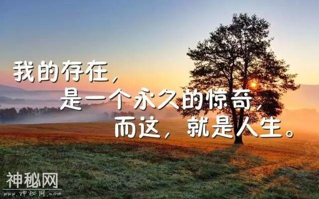 早安励志图片句子：在逆境中步步攀登，越来越坚强-6.jpg