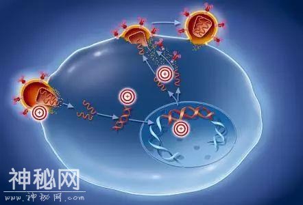 活久见！新发现的巨大病毒，正刷新我们对微生物的认知……-7.jpg