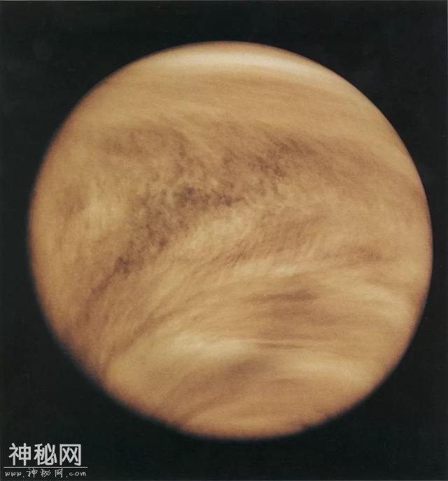 金星暗斑里的不明微粒，或是游曳在这个行星云间的神秘生物-1.jpg