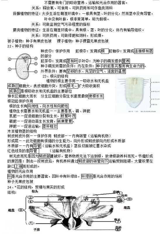 七年级生物复习攻略-4.jpg