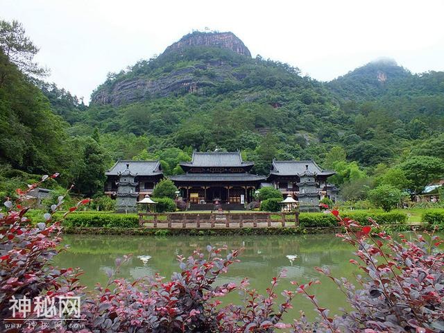 武夷山水：山泉为上，深井为佳-5.jpg