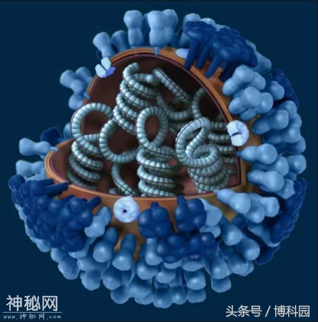 27种毁灭性传染病及病毒，你都知道吗？-4.jpg