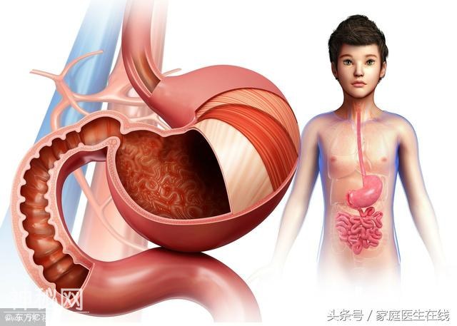 养生专家：春天多吃这6种食物，自然养出好脾胃-1.jpg