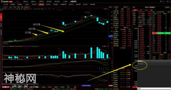 一名散户之王自曝：一旦学会短线强势股买入绝技，助你轻松抓大牛-3.jpg