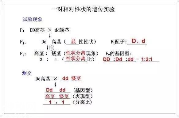 高考714分学霸直言：苦学3年生物，不如啃透这份“最强笔记”！-14.jpg