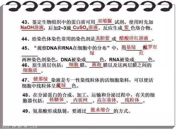 高考714分学霸直言：苦学3年生物，不如啃透这份“最强笔记”！-10.jpg