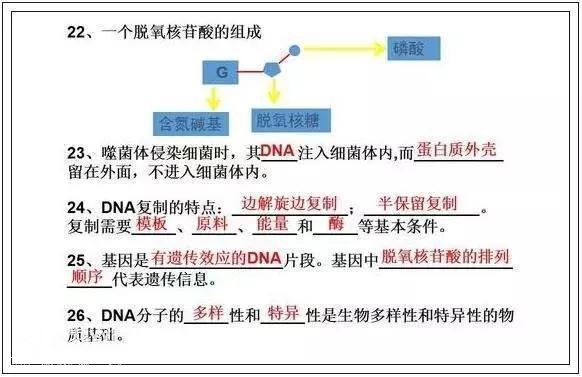 高考714分学霸直言：苦学3年生物，不如啃透这份“最强笔记”！-19.jpg