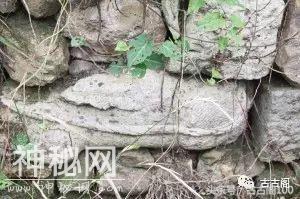 这名孤僧语出惊人好娱乐：《兰亭序》真迹可能还藏在绍兴云门寺！-12.jpg