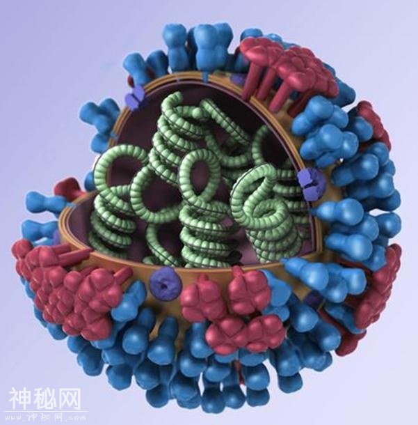 警惕！又一种新型流感病毒出现，而且是二合一-1.jpg