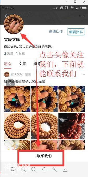 大自然的鬼斧神工之：飞碟树王小金刚菩提子-4.jpg