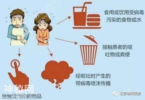 「善医生说」诺如病毒在深圳出现，其实它离你并不遥远-5.jpg