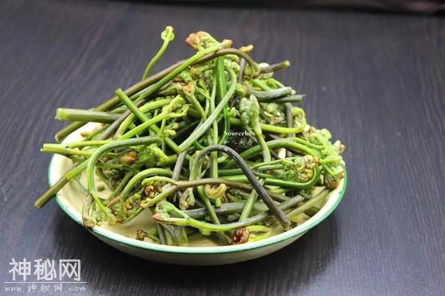 清明踏青都爱挖野菜，可我们不是野人，为啥要吃野菜？-6.jpg