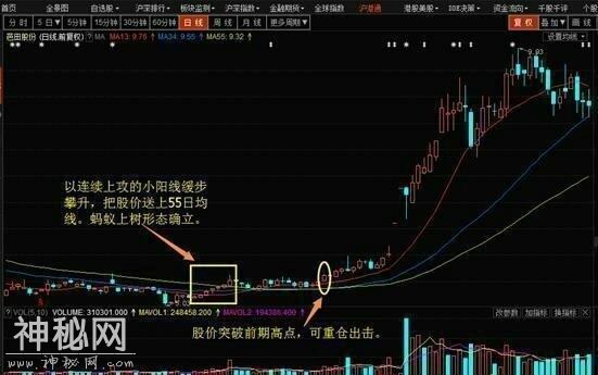 老股民分享:稳定获利选股绝技，简单易学轻松选黑马-2.jpg