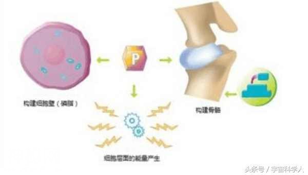 外星球是否存在生命，比氧气和水更重要的条件，是磷含量是否充足-4.jpg