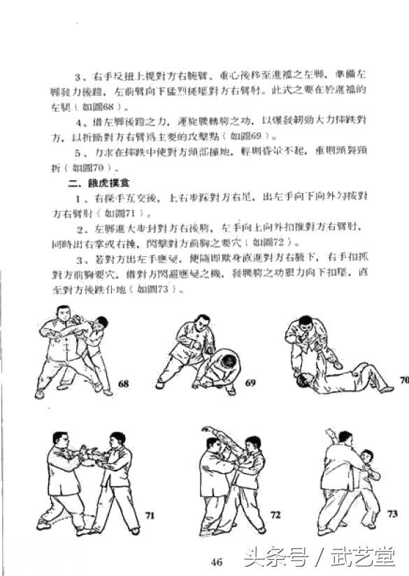 武当松溪派内家拳擒拿绝技图解-11.jpg