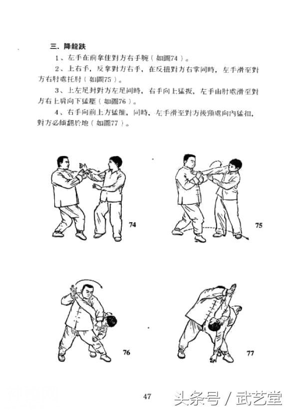 武当松溪派内家拳擒拿绝技图解-12.jpg