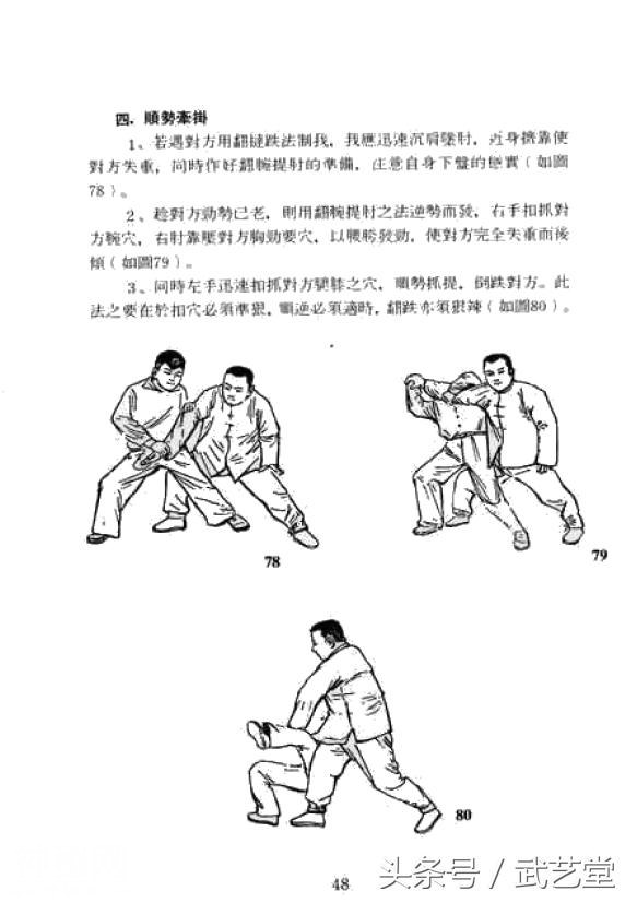 武当松溪派内家拳擒拿绝技图解-13.jpg