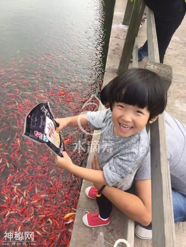 这个4岁的沈阳小女孩到底得了啥怪病？全身红点，皮肤变黑，赶紧帮帮她！-11.jpg