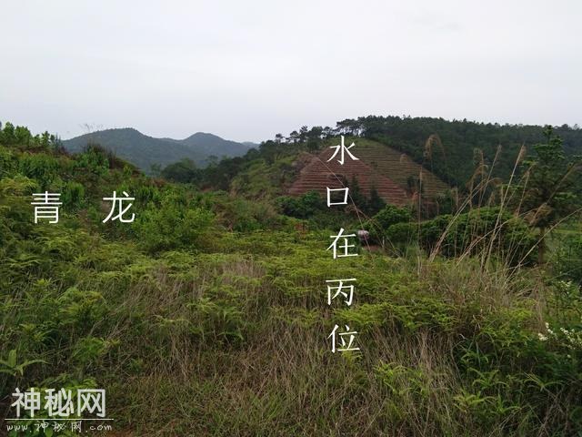 一峰独秀旺丁财-6.jpg