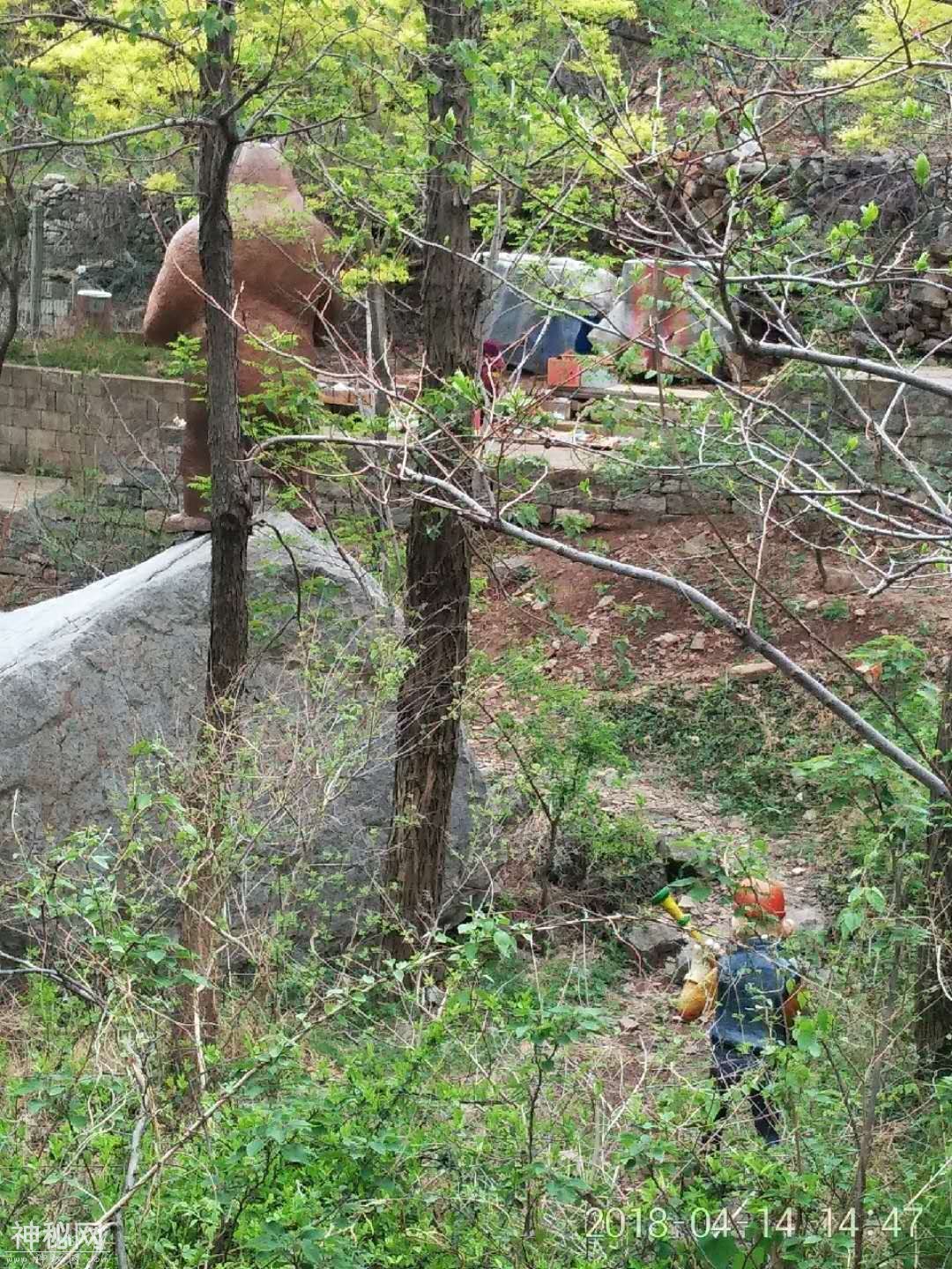 枣庄熊耳山双龙大裂谷地质地貌景观保护区游玩-5.jpg