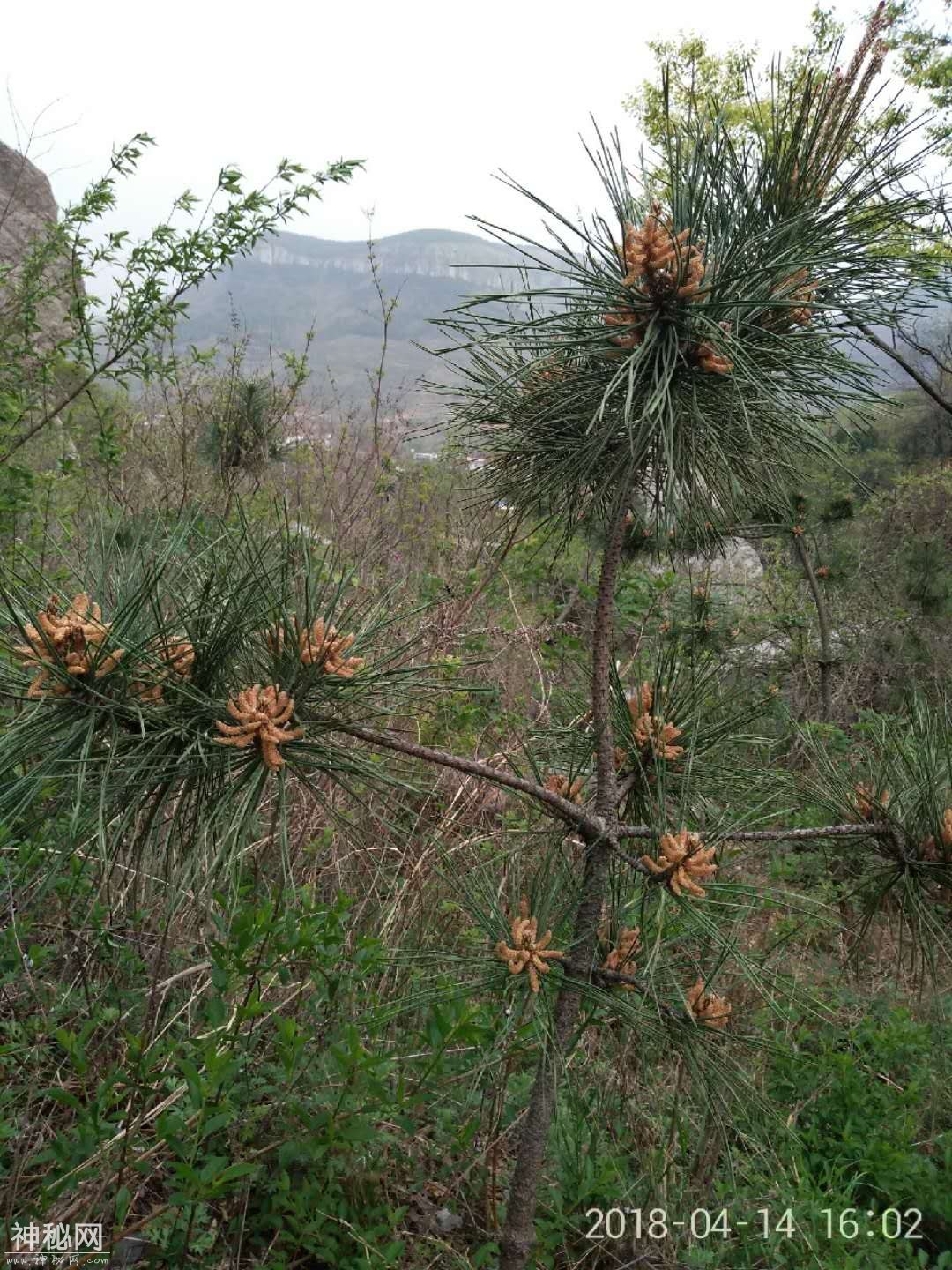 枣庄熊耳山双龙大裂谷地质地貌景观保护区游玩-9.jpg